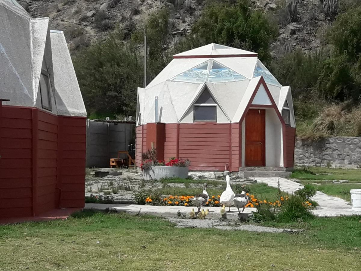 Domos Sol&estrellas Acampamento Vicuña